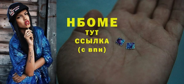 стафф Бородино