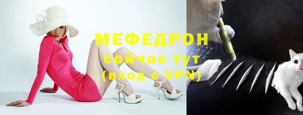 стафф Бородино