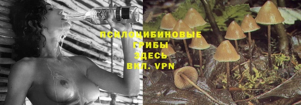 тгк Бугульма