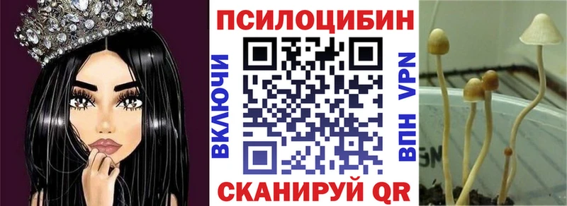 Псилоцибиновые грибы мицелий  цена   гидра ТОР  Владимир 