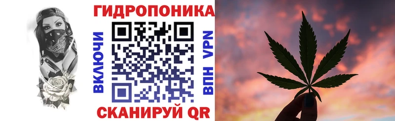 Конопля конопля Владимир